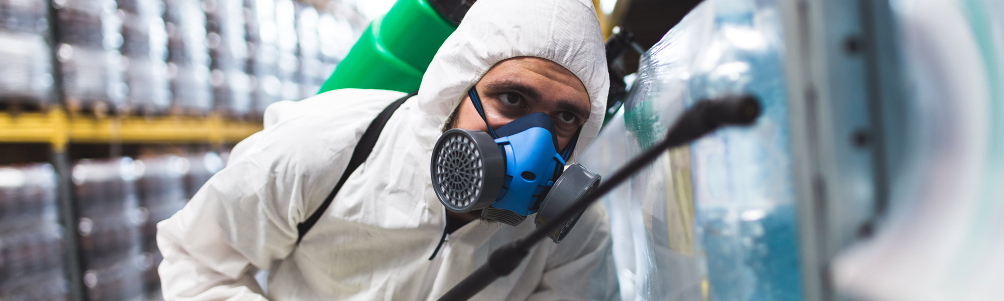 ¿Qué hacer después de fumigar mi casa?