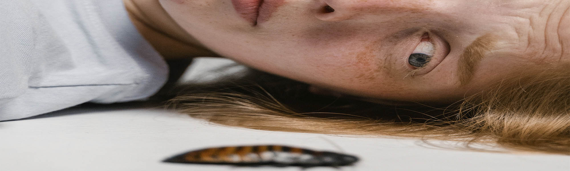 ¿Por qué no es bueno pisar una cucaracha en la cocina?